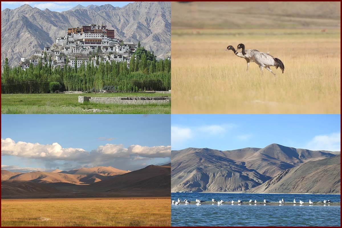 Leh Ladakh Tour Package