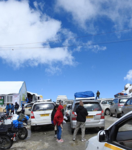 _(335 x 317 px) (270 x 307 px)