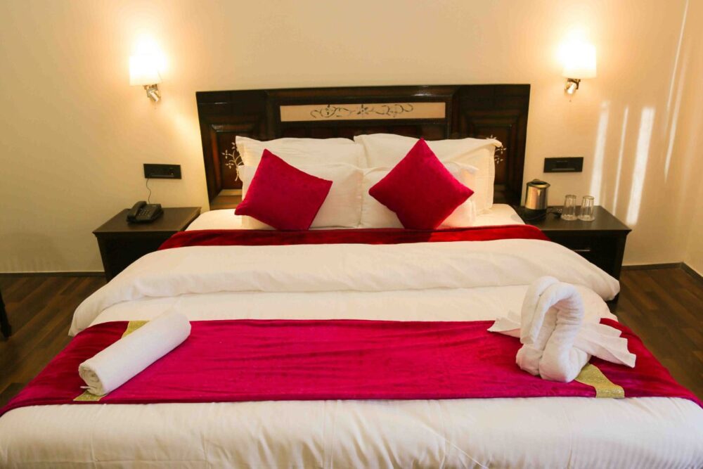 3e1188c5-1803-482e-95d5-04ab748104b9.jpg-1000x667