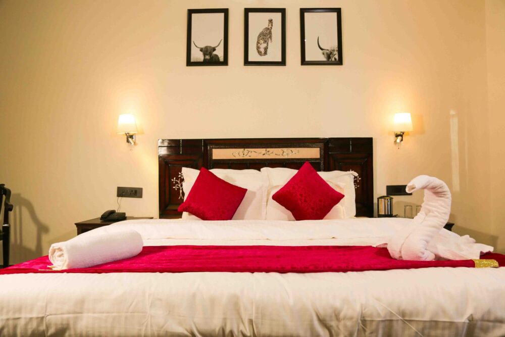 66c580f7-eb00-4b93-8bd2-2891e245c252.jpg-1000x667